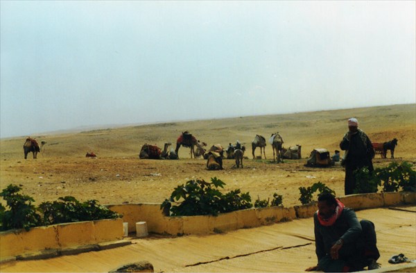 Пустыня, Гиза, Каир